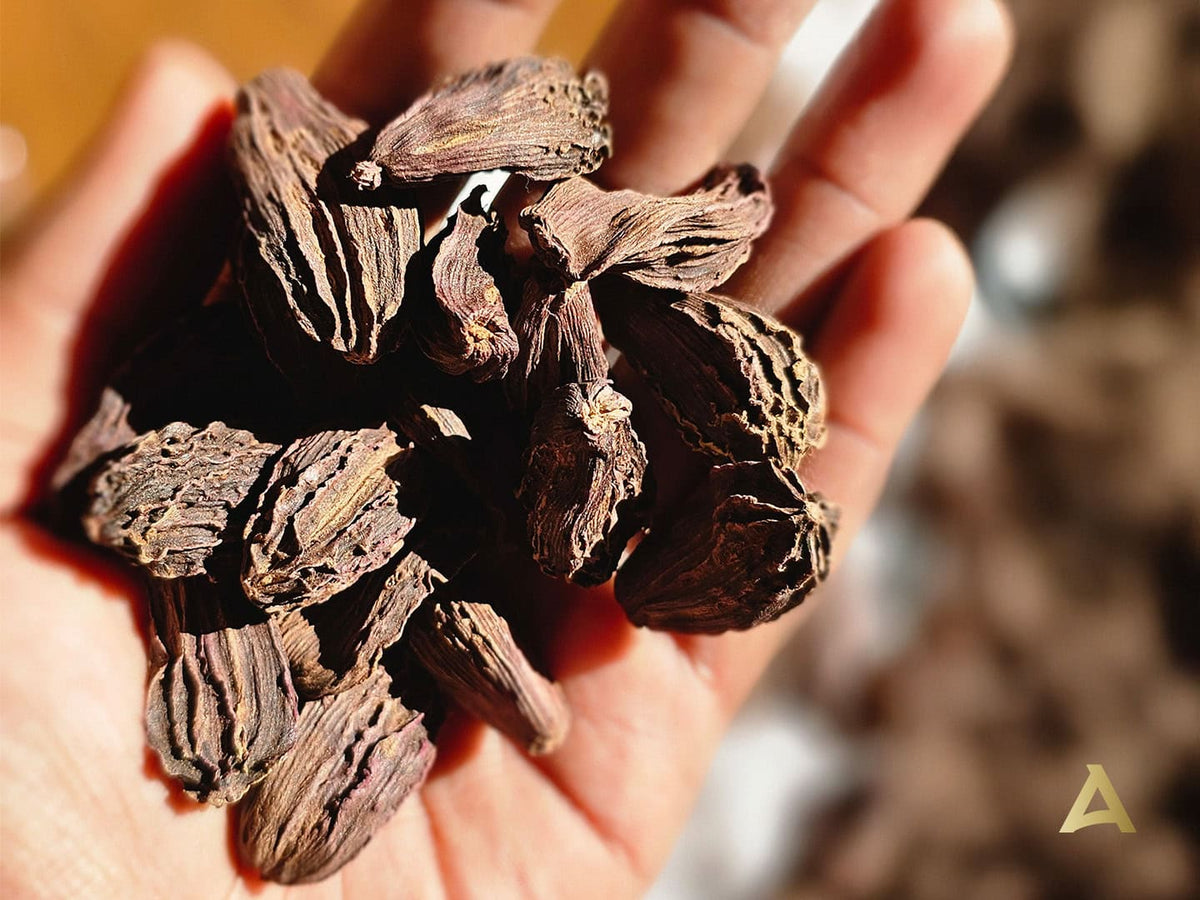 8 Health Benefits of Black Cardamom Backed by Science | Aapala