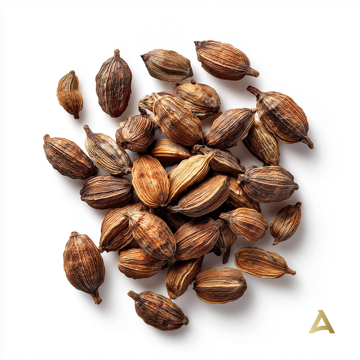 Organic Black Cardamom